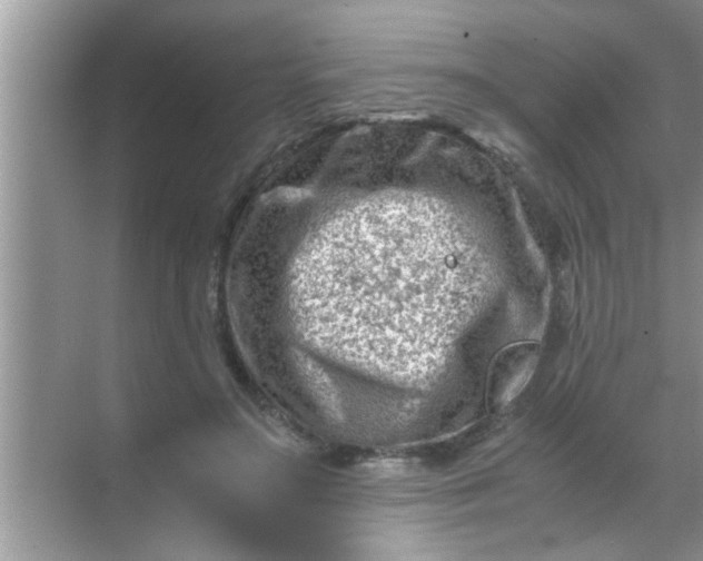 X0000069410499200605262213