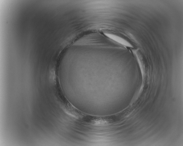 X0000069410500200605262213