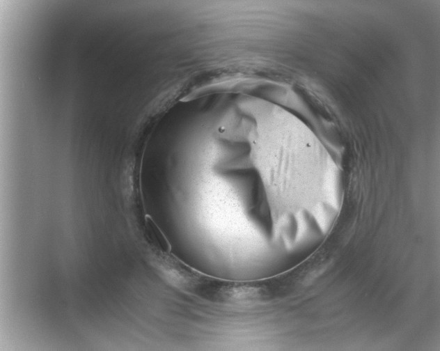 X0000069410501200605262212