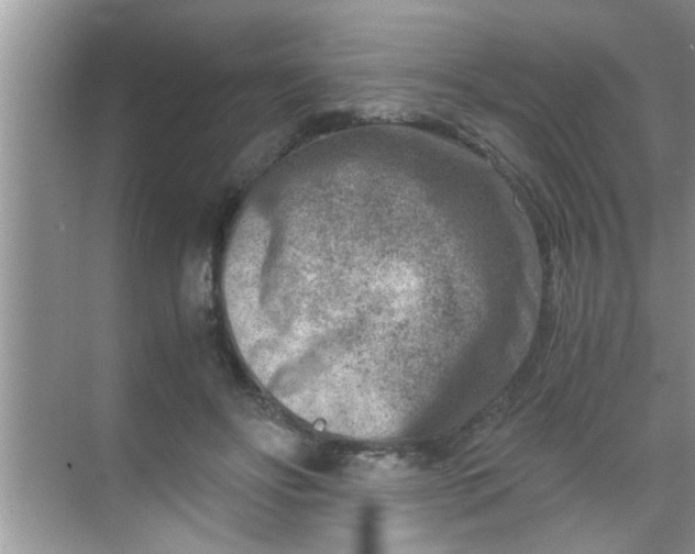 X0000069410502200605262212