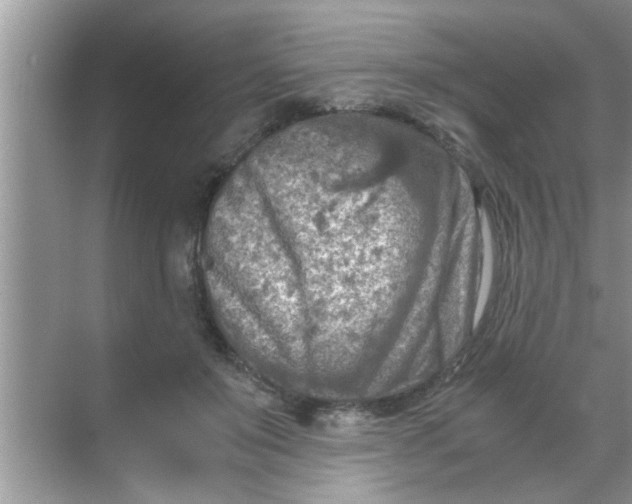 X0000069410503200605262212