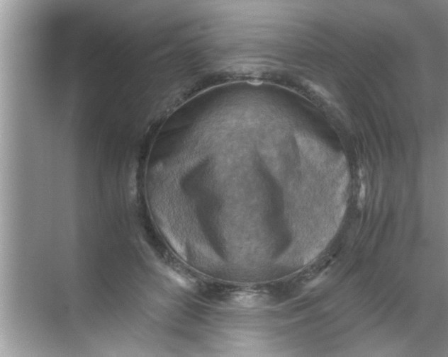 X0000069410504200605262212