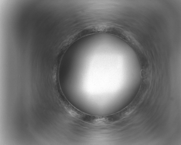 X0000069410505200605262212