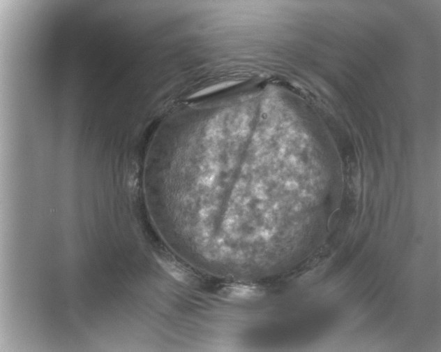 X0000069410507200605262212