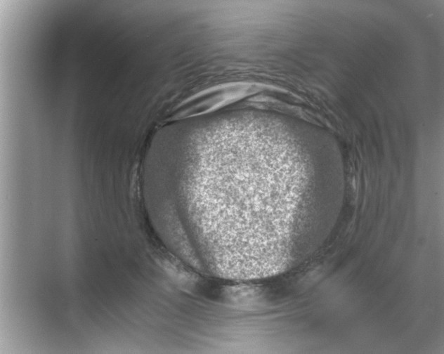 X0000069410511200605262212