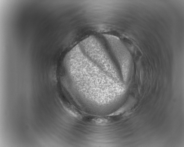 X0000069410512200605262212