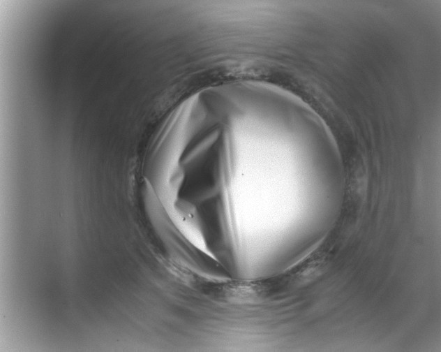 X0000069410513200605262212