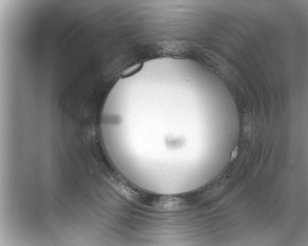 X0000069410514200605262212