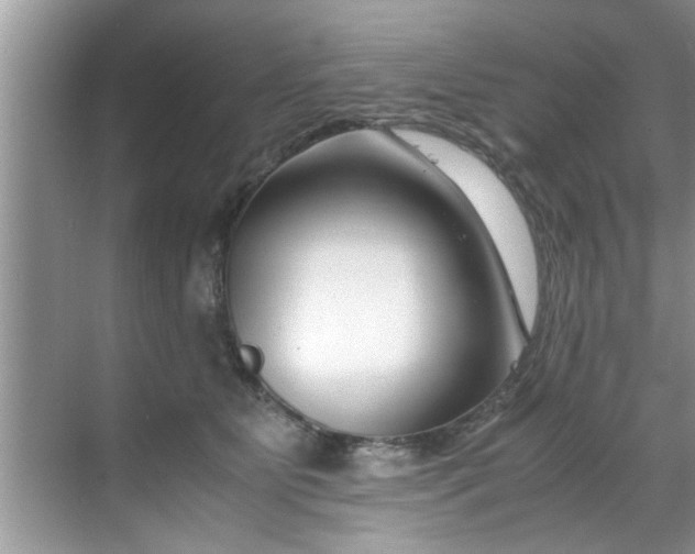 X0000069410515200605262212