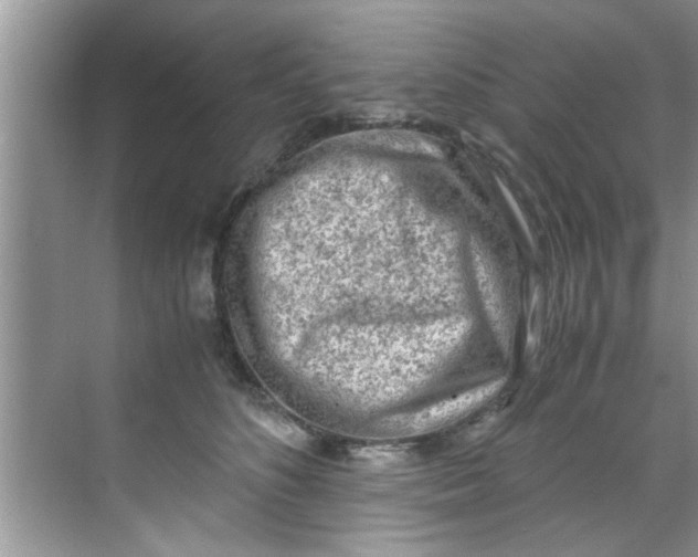 X0000069410516200605262212