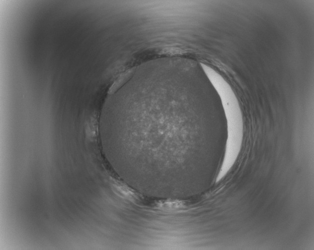 X0000069410517200605262212