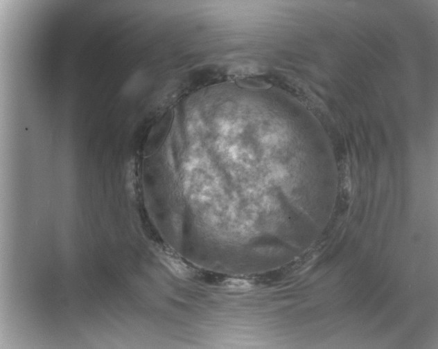 X0000069410519200605262212