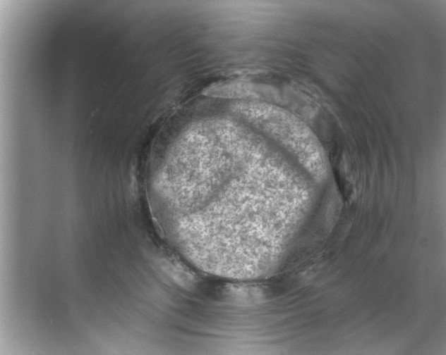 X0000069410520200605262212