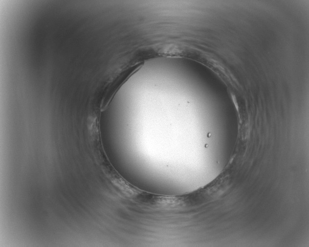 X0000069410521200605262212