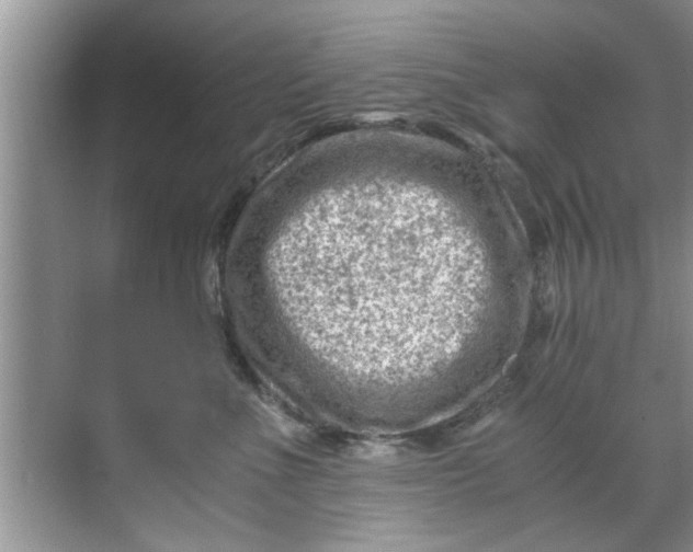 X0000069410523200605262212