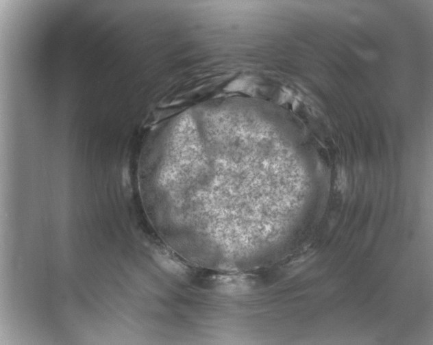 X0000069410524200605262212