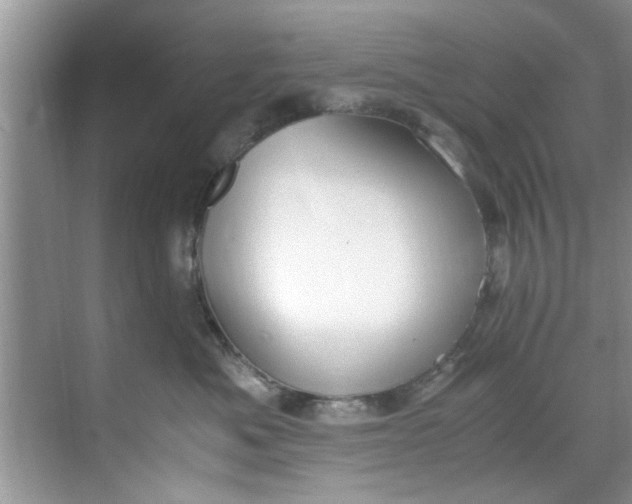 X0000069410525200605262212