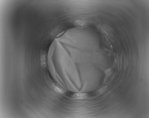 X0000069410526200605262212