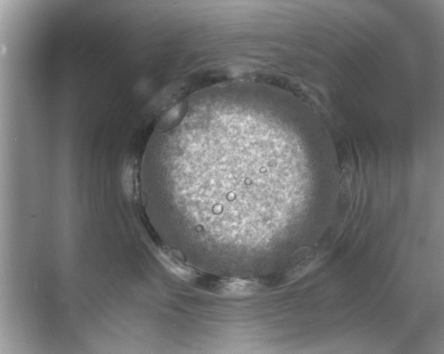 X0000069410527200605262212