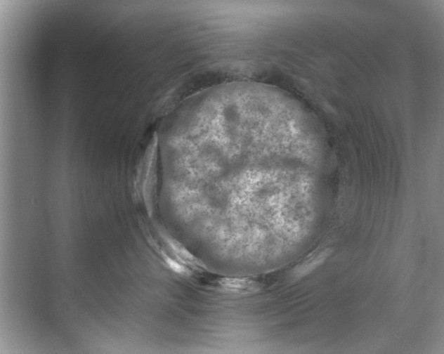 X0000069410528200605262212