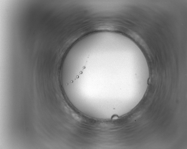 X0000069410529200605262211