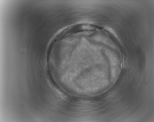 X0000069410531200605262211