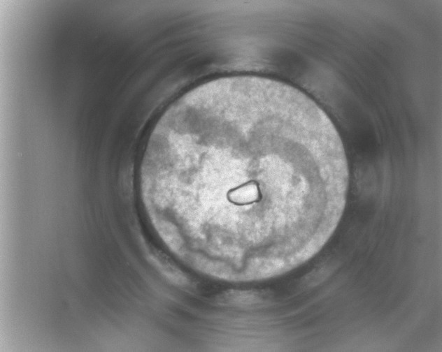 X0000069410534200605262211