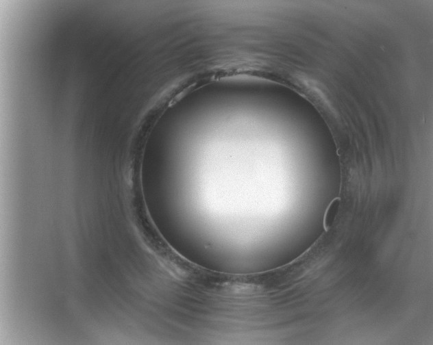 X0000069410539200605262211