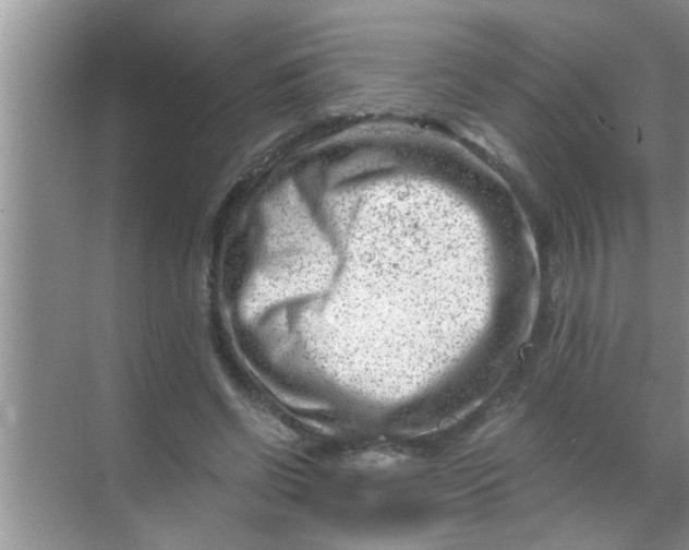 X0000069410542200605262211