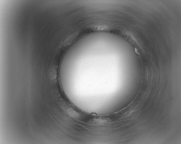 X0000069410545200605262211