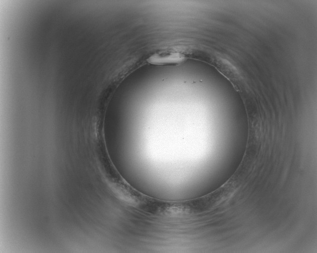 X0000069410546200605262212