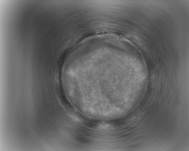 X0000069410547200605262212