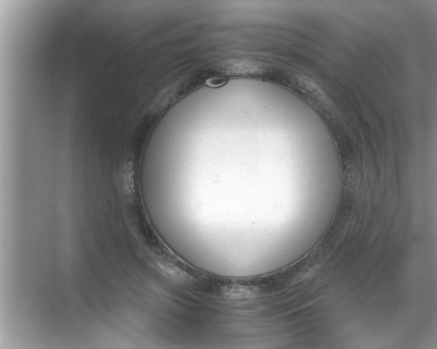 X0000069410549200605262212