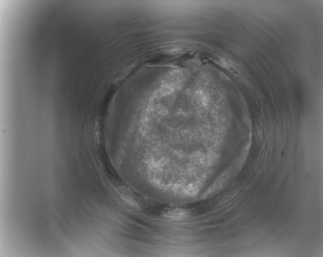 X0000069410551200605262212