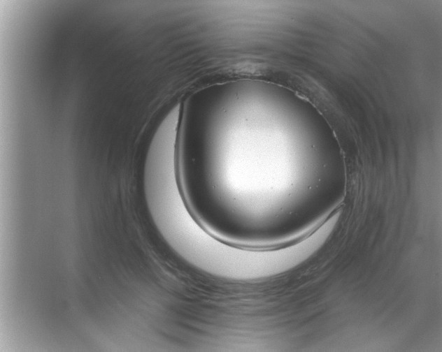 X0000069410552200605262212