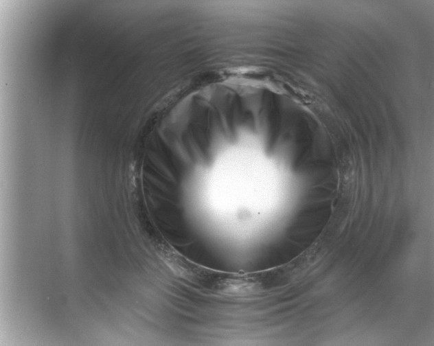 X0000069410555200605262212