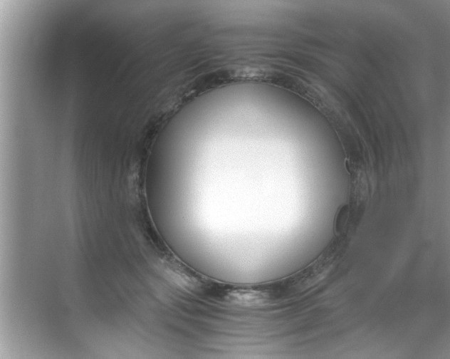 X0000069410557200605262212