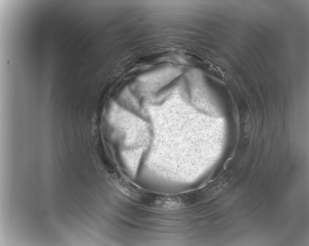 X0000069410559200605262212