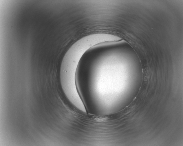 X0000069410560200605262212