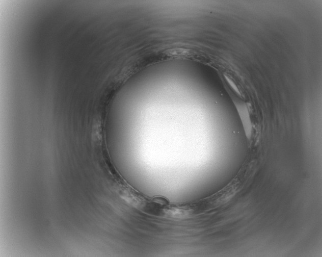 X0000069410561200605262212