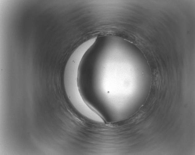 X0000069410562200605262212