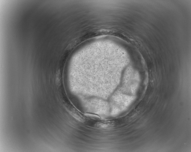 X0000069410563200605262212