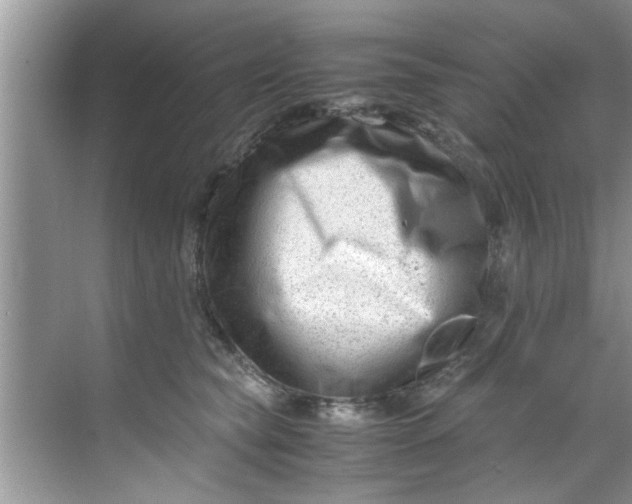 X0000069410565200605262212