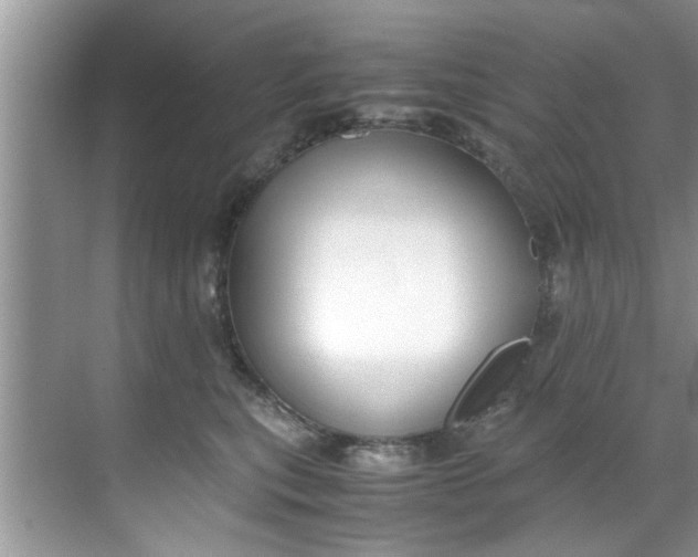 X0000069410567200605262212