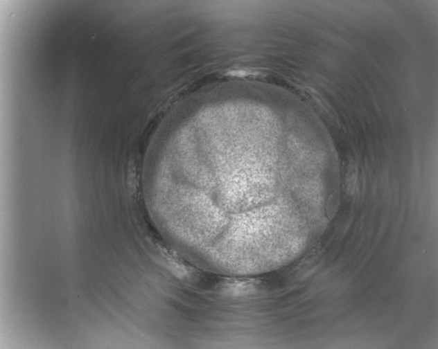 X0000069410569200605262212