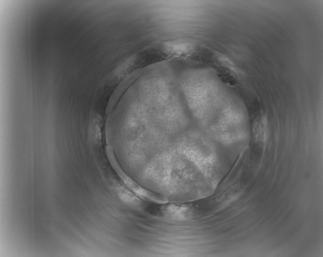 X0000069410570200605262212