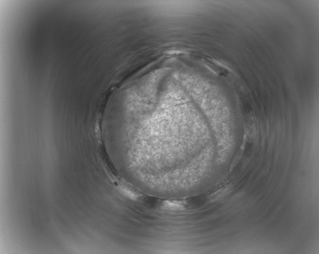 X0000069410573200605262212