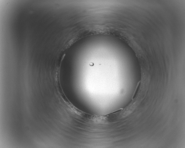 X0000069410576200605262212