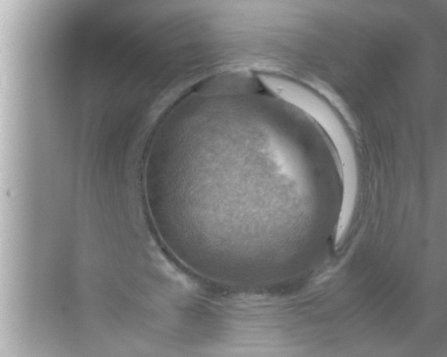 X0000069410577200605262211