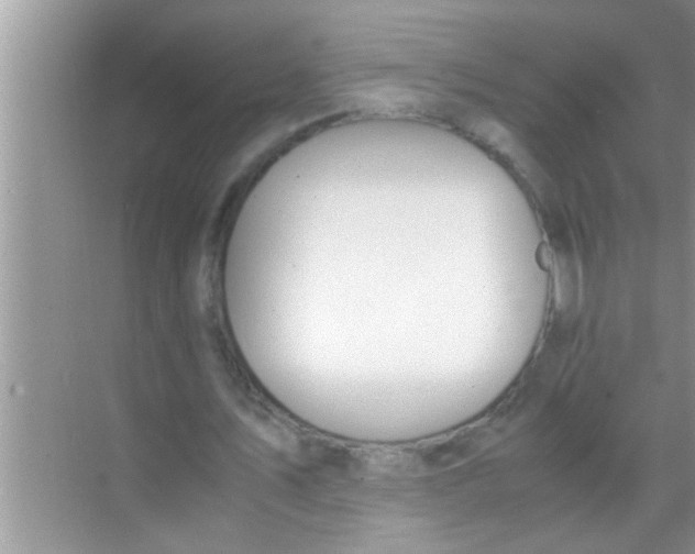 X0000069410579200605262211